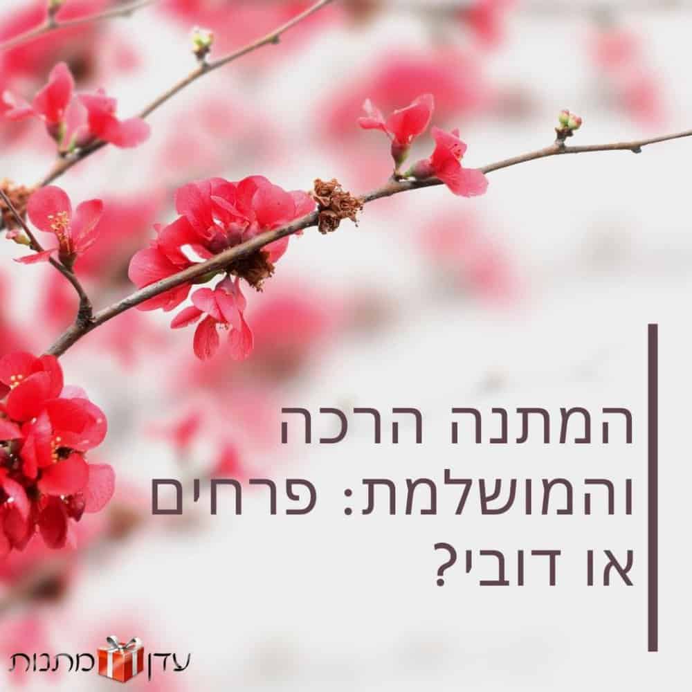 המתנה הרכה והמושלמת